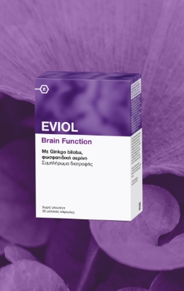 Brain Function_thumb